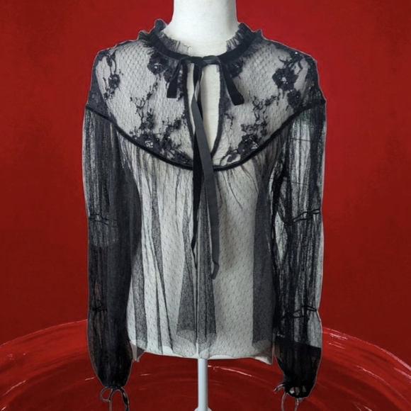 Tops - Zara Woman Embroidered sheet Tulle Top With velvet Bow Black Size L